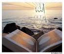 وما أُهلَّ به لغير الله