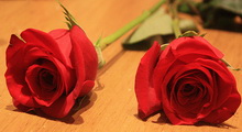 من مفاسد الاختلاط